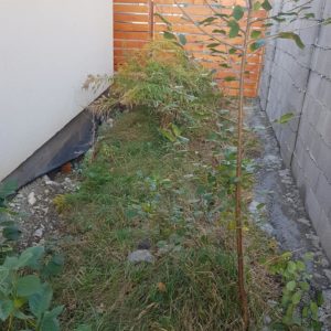Pavaje curti, gradini, pavele Brasov