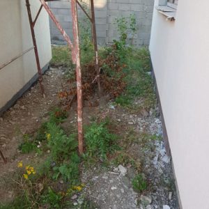 Pavaje curti, gradini, pavele Brasov